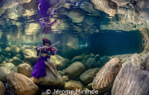 Acquatic symphonie by Jérome Mirande 
